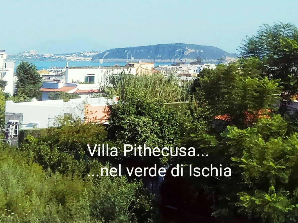 Villa Pithecusa Искья Экстерьер фото